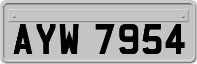 AYW7954