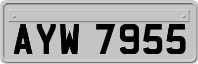AYW7955