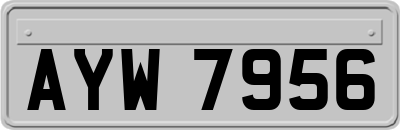 AYW7956