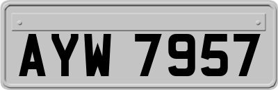 AYW7957