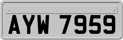 AYW7959