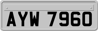 AYW7960