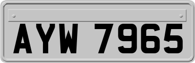 AYW7965