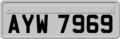 AYW7969