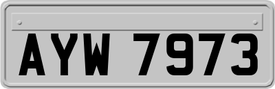 AYW7973
