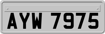 AYW7975