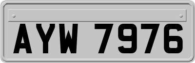 AYW7976