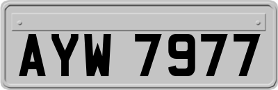 AYW7977