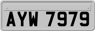 AYW7979