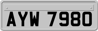 AYW7980