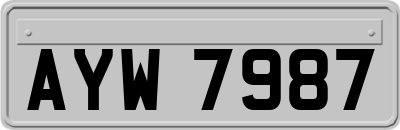 AYW7987