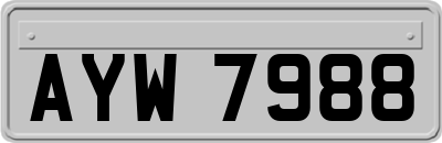 AYW7988