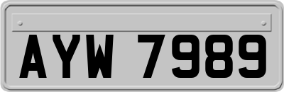 AYW7989