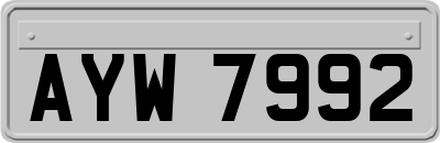 AYW7992