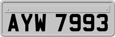 AYW7993