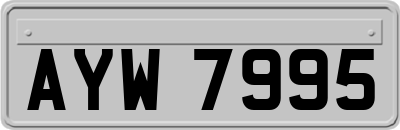 AYW7995