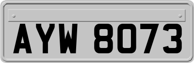 AYW8073