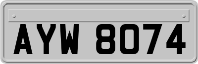 AYW8074