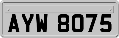 AYW8075
