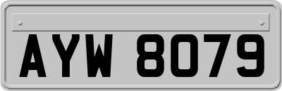 AYW8079