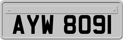 AYW8091