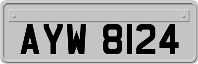 AYW8124