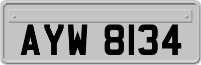 AYW8134