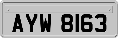 AYW8163