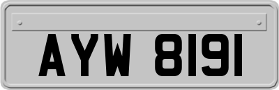 AYW8191