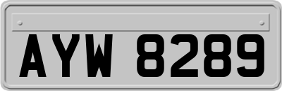 AYW8289