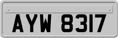 AYW8317