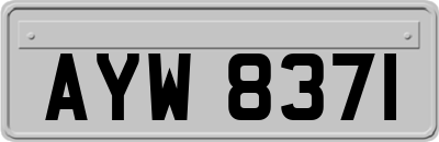 AYW8371