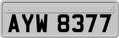 AYW8377
