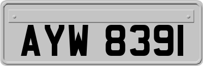 AYW8391