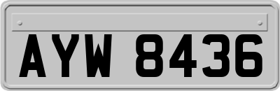 AYW8436