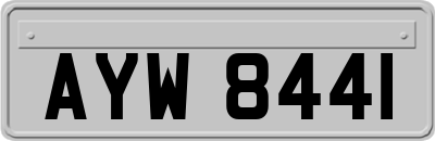 AYW8441