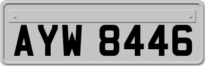 AYW8446