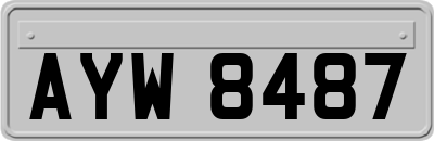 AYW8487