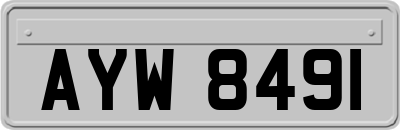 AYW8491
