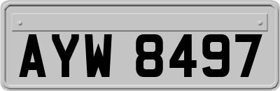 AYW8497