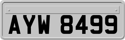 AYW8499