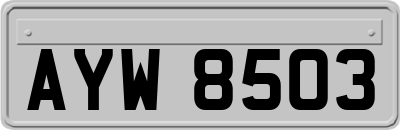 AYW8503
