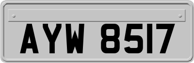 AYW8517
