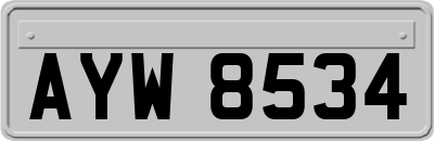 AYW8534