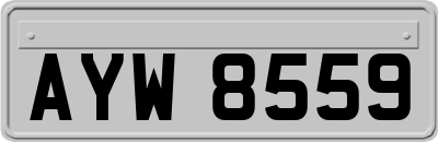 AYW8559