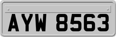 AYW8563