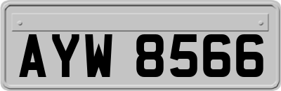 AYW8566