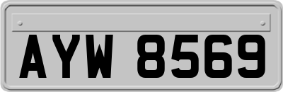 AYW8569