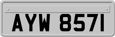 AYW8571