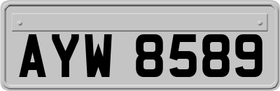 AYW8589